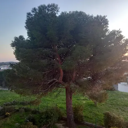 Les Pins Proche Apartament